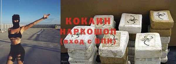 тгк Дмитровск