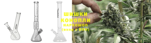 тгк Дмитровск