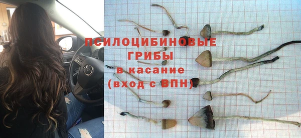тгк Дмитровск