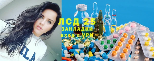 тгк Дмитровск