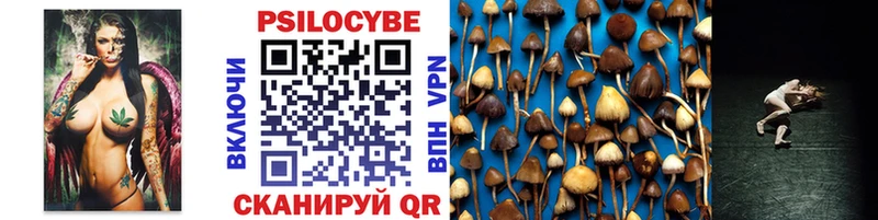 Галлюциногенные грибы Psilocybe  Купить закладки  Сортавала 