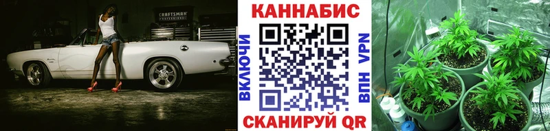 Купить где  Сортавала  Бошки Шишки сатива 